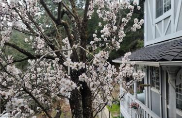 The Castle of Dreams - Foto 59