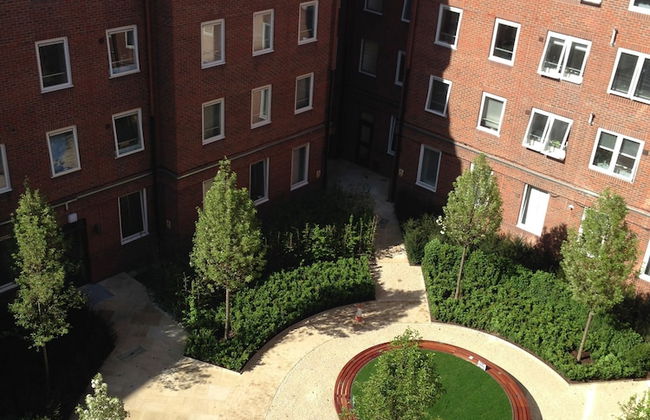 Student Only OLIB - Foto 32