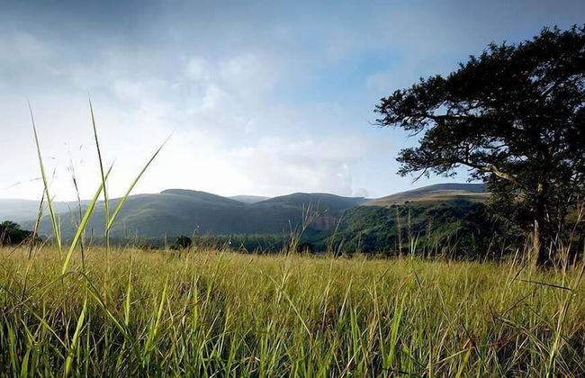 Caracal Lodge - Foto 37