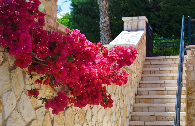 Il Tesori Dassia Villas - Foto 74