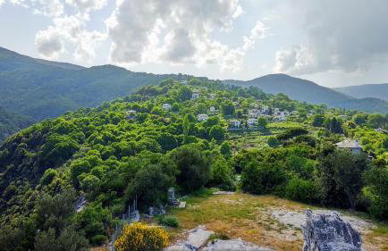 Pantheon 2 - Foto 16