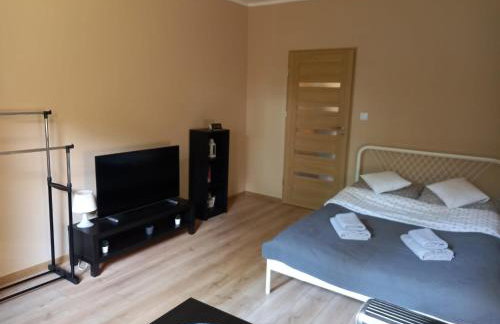 Apartament Górski - Foto 5
