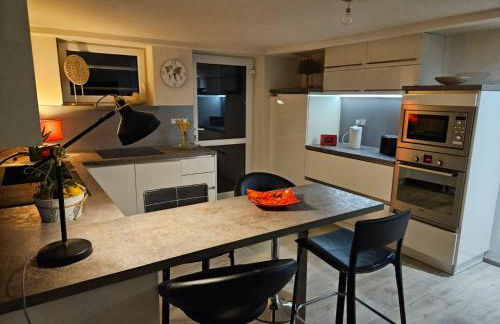 Le repos des escargots - Appartement 3 étoiles - label Qualidog - 1 à 6 personnes avec jardin ombragé et aménagé - Photo 1