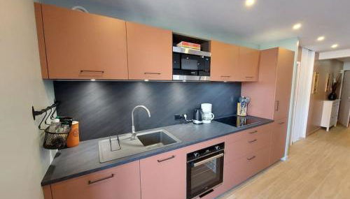 Charmant Appartement Lac d'Annecy / Ski - 6 Pers - Foto 5, stove, dishwasher, pet friendly, minibar