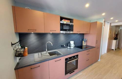 Charmant Appartement Lac d'Annecy / Ski - 6 Pers - Foto 5