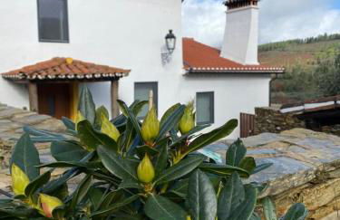 Casa do Vale - Photo 36