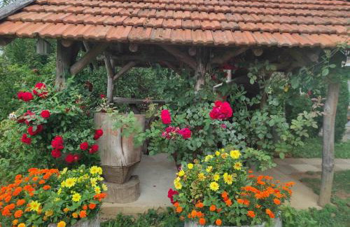 Apartman Jakov - Foto 32