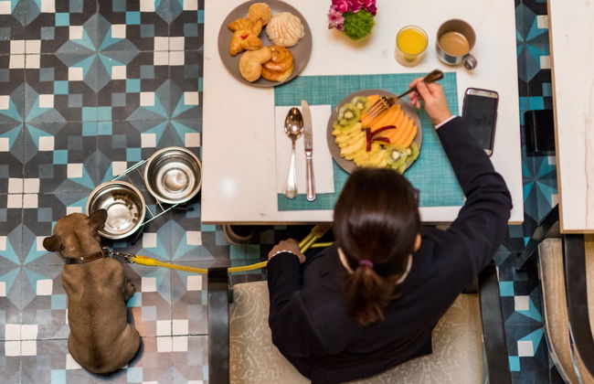 Casa Malí by Dominion - Foto 27