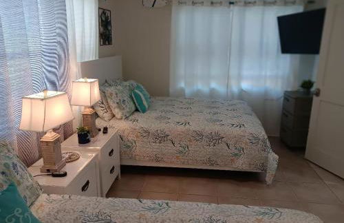 Madeira Bonita - Photo 20