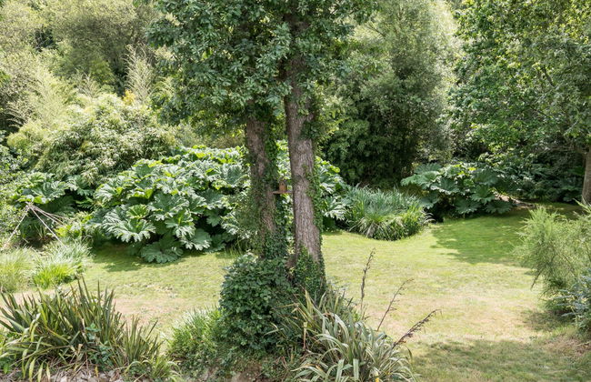 Les Bruyères - Foto 24