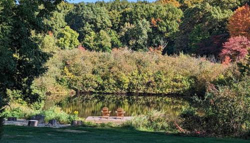 Scout's Haven by Juniper Holiday + Home - Foto 3