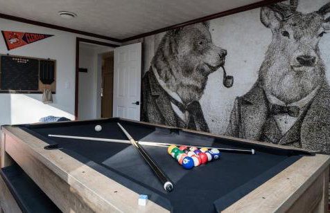 Private Pickleball Pool Game Room 5 BR - Photo 18