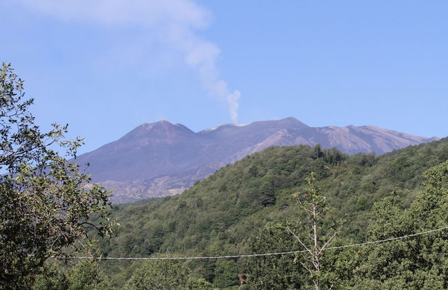 Viola nel Parco - Foto 80