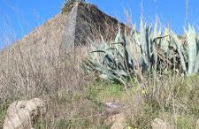 10 da Muralha - Foto 31