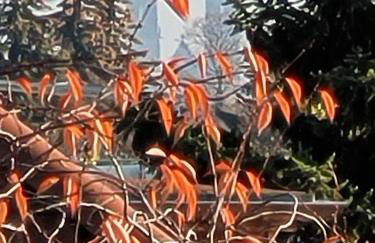 Haus Schmeile - Foto 12