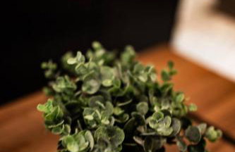 Peaceful Stay Near TX Med Ctr | Gated Parking! - Foto 12