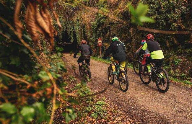 Casas Rurales Acebuche - Photo 14