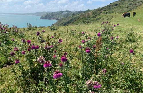 Clotted Cream Cottage Countryside calm Close to beach Dartmouth Dog Friendly - Foto 60