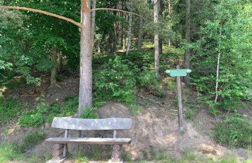 Holiday Home Waldferienhaus Dunja mit Sauna- Whirlpool- direkt am Waldrand- Kletterfelsen by Interhome - Photo 14