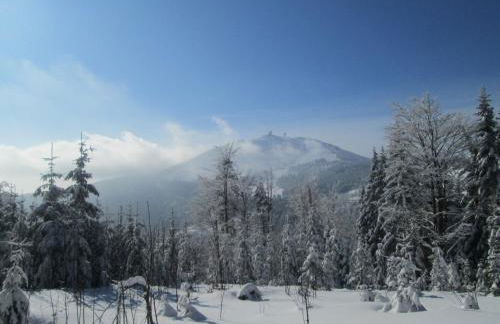 Apartments Josef Seitz - Foto 40