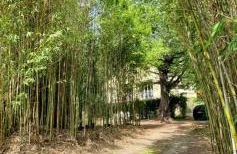 Logis PONIENTE - Foto 14