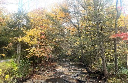 Serene Cabin between Fayetteville& Summerville WV - Foto 42