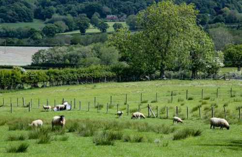 Broughton Stables - Foto 34