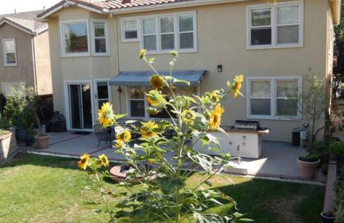 Beautiful Home in Quiet Area - Foto 7