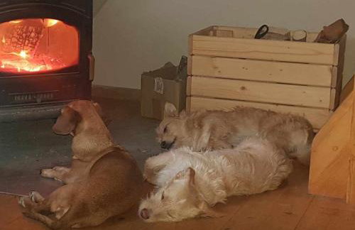 Uroczysko Deresze - Foto 70