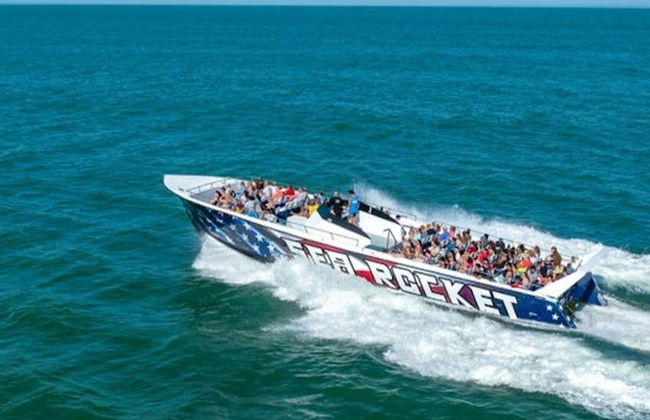 Observation de dauphins à Ocean City - Photo 1