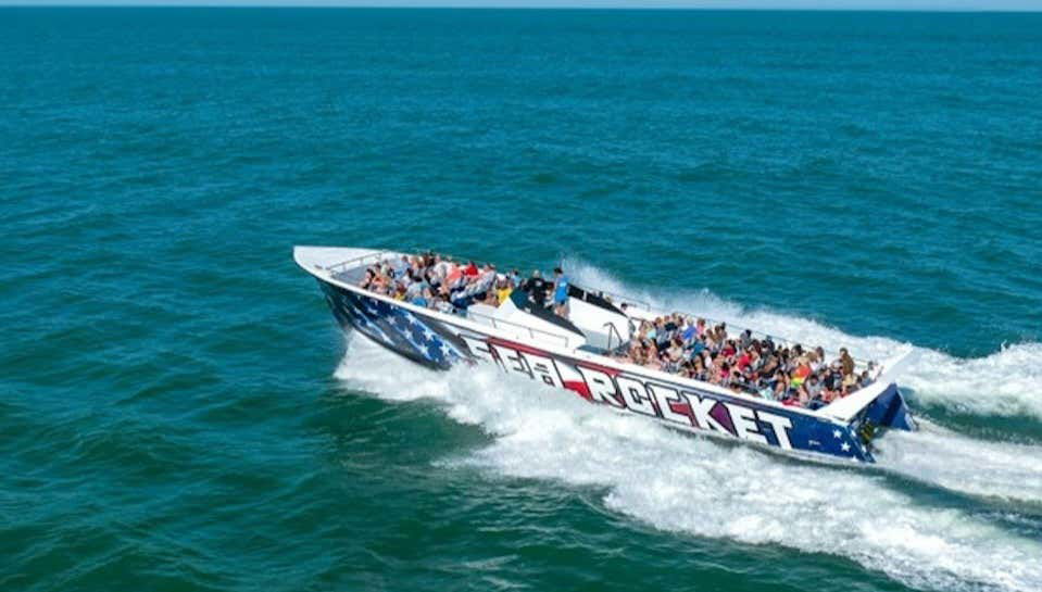 Observation de dauphins à Ocean City