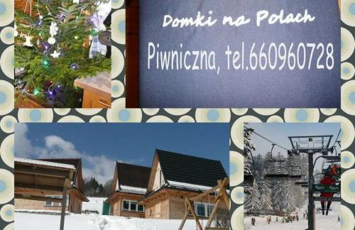Domki na Polach Piwniczna-Zdrój - Foto 68