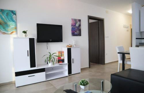 Apartment Vesna Toplice Sveti Martin - Foto 4