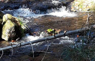 AnNo- Ihre Wohlfühloase mit Garten in Klingenbrunn - Foto 24