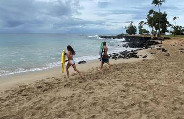 Honu He'e Nalu - The Surfing Turtle - Ocean & Beachfront! Stunning Views! - Foto 31