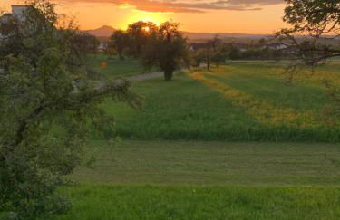Ferienwohnungen im Hegau - Foto 34