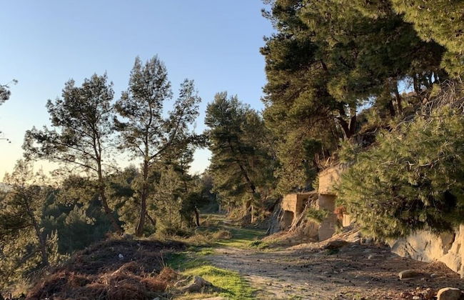 Florenc's Apartment - Foto 29