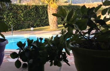 Mon petit coin de paradis - Foto 15