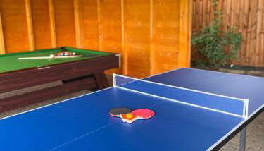Noclegi u Eli Zator Energylandia - Photo 5, Game Room