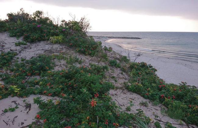 6 Person Holiday Home in Melby - Foto 21