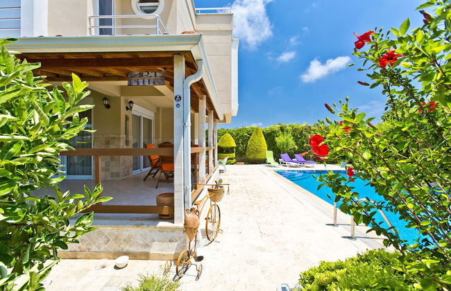 Paradise Town Villa ART - Photo 1