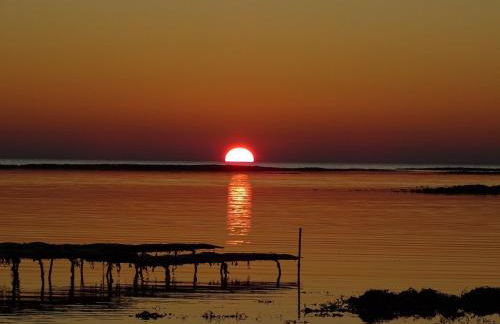 Appartement au pied des dunes - Foto 12