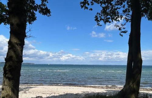 Ferienhaus " To Huus " an der Ostsee, Sauna, Kamin, Strandkorb, free-W-LAN - SEASIDE - - Foto 29