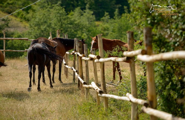 Faro Rosso - Photo 25