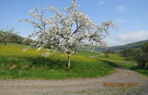 Ferienwohnung Rhön - Foto 30