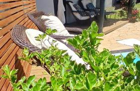 Sítio meninas do vovô - Photo 19