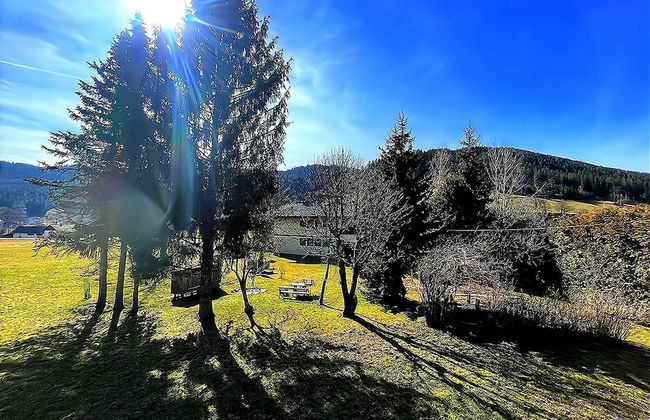 Chalet in Flattnitz Near Ski Slopes & Lakes - Foto 19