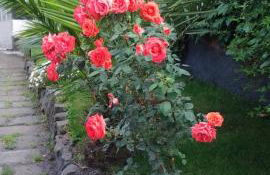 Villa Royal Etna Stars - Foto 31