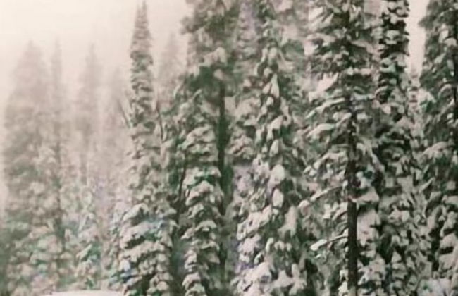 Hannon House - Photo 49