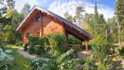 Waldhaus Eichhörnchen - Foto 4